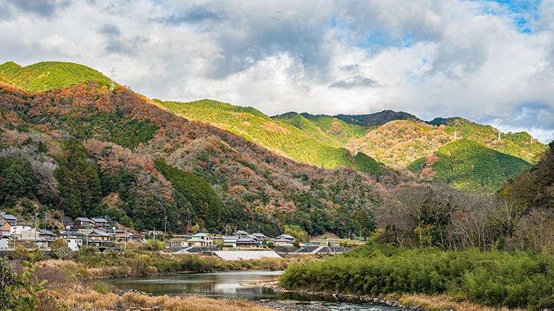 里山の秋